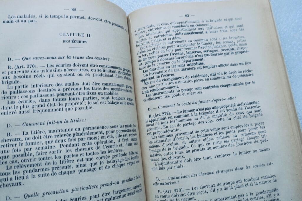 Gendarmerie-Theorien: Ein historisches Handbuch