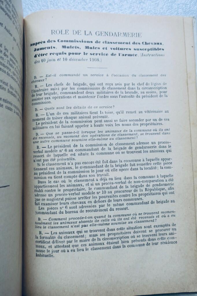 Gendarmerie-Theorien: Ein historisches Handbuch