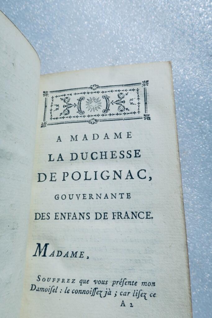 Chivalric romance of Geneviève and the nameless squire