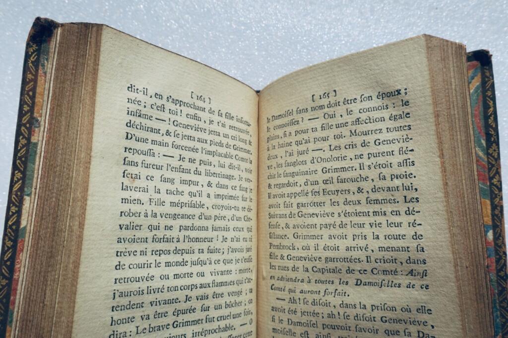 Chivalric romance of Geneviève and the nameless squire