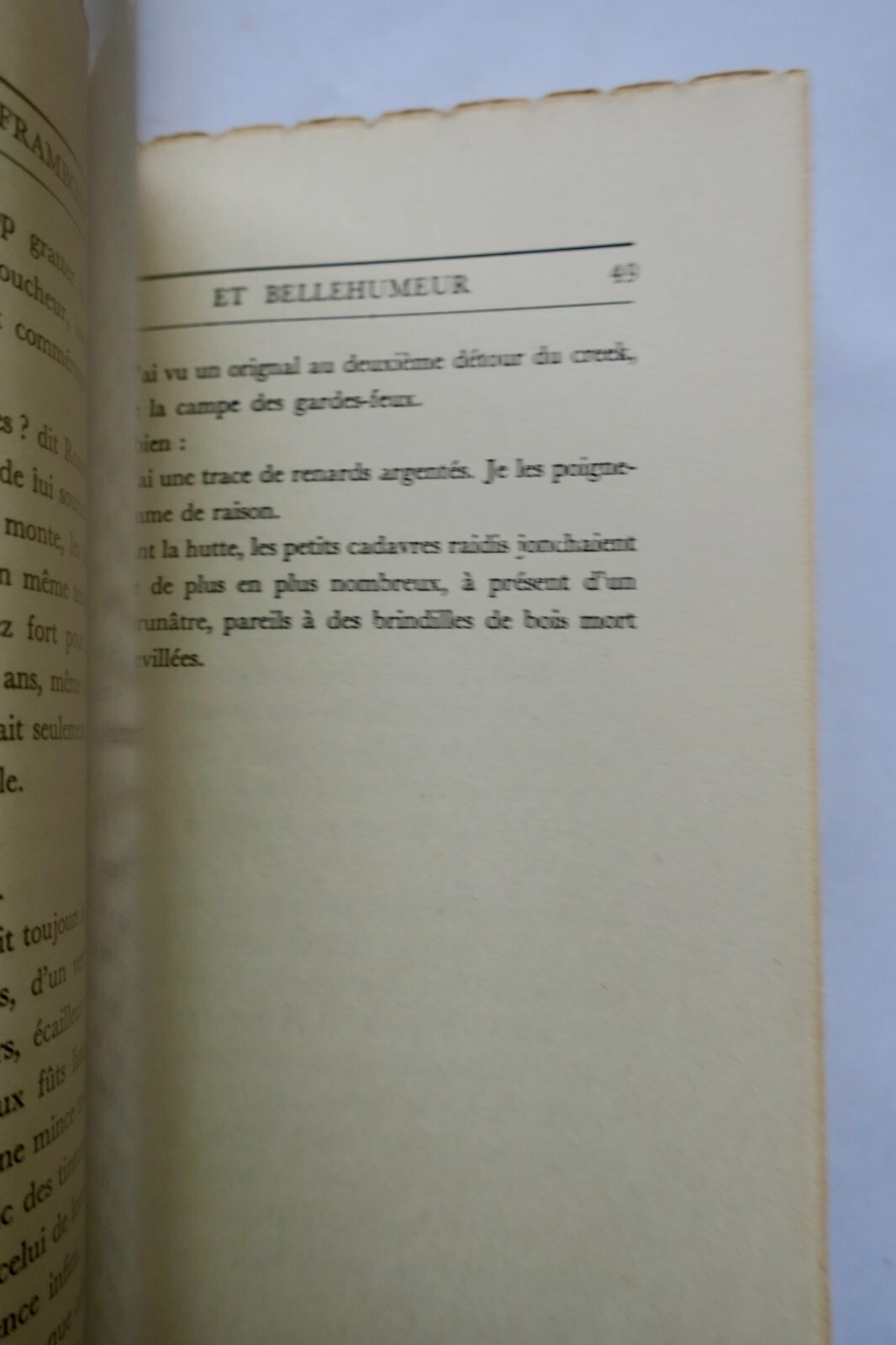 Eine Studie über Laframboise und Bellehumour - Image 3