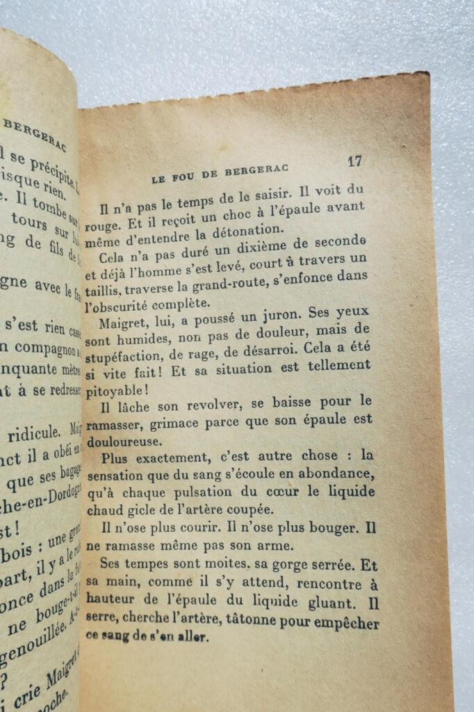 Der Verrückte von Bergerac