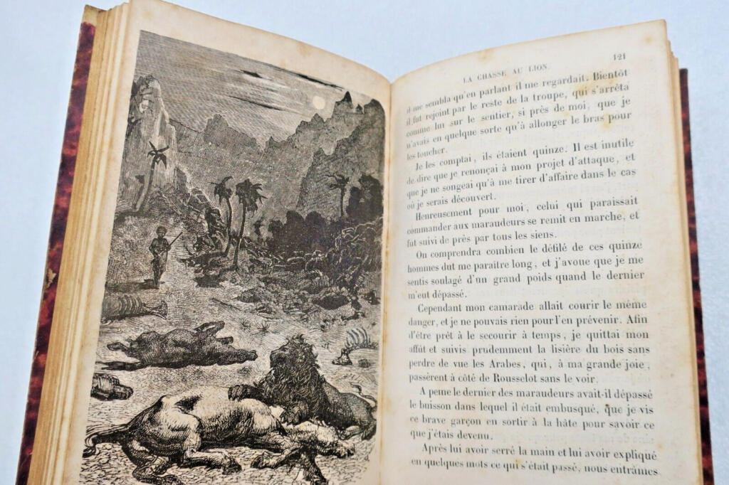 Löwenjagd illustriert von Gustave Doré