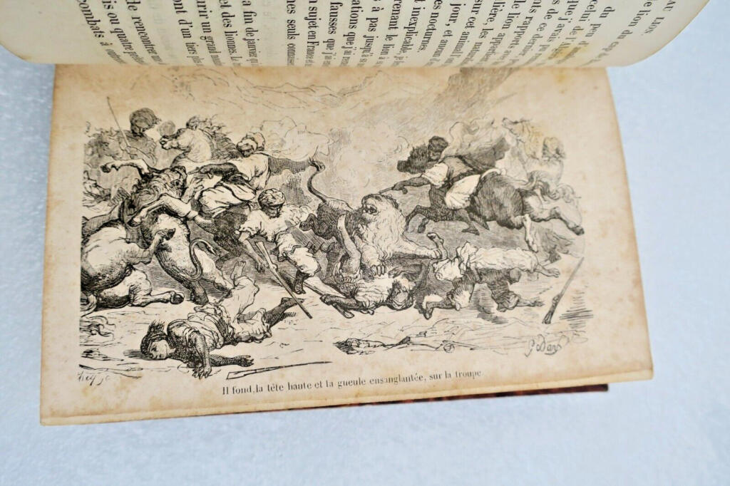 Löwenjagd illustriert von Gustave Doré