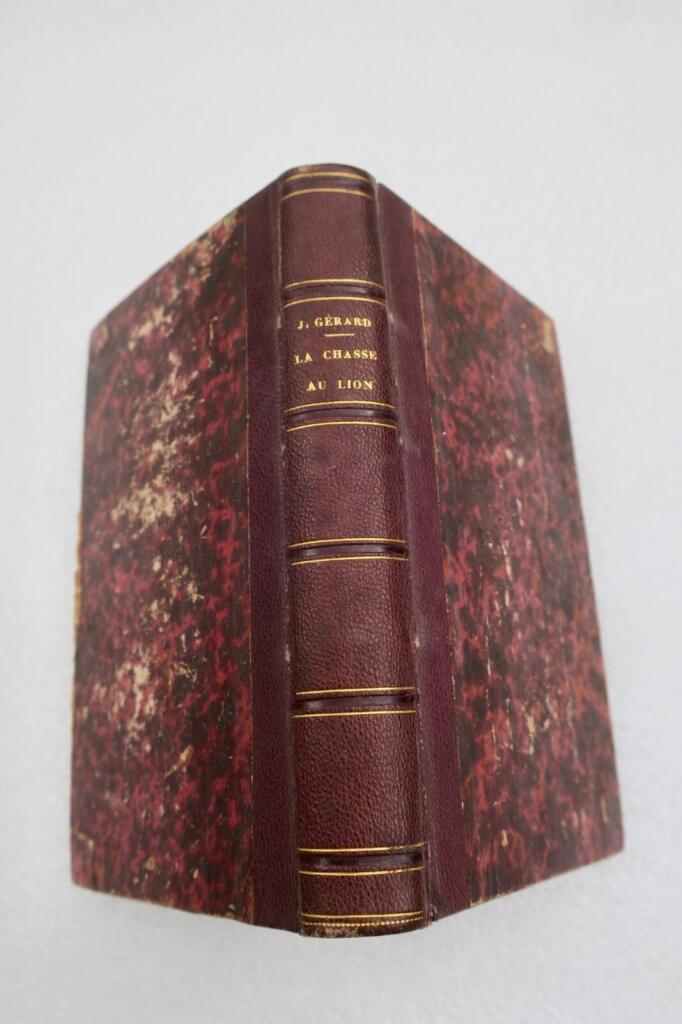 Löwenjagd illustriert von Gustave Doré