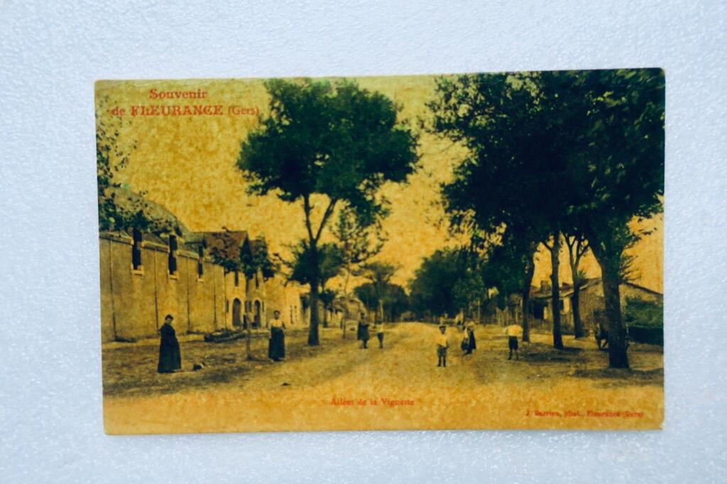 Fleurance Vineyard Lane Postcards