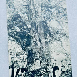 Gers Labarrere Near Montreal OAK
