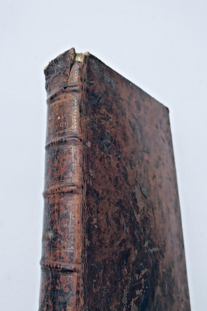 Sammlung der Synodalstatuten des Bistums Auch