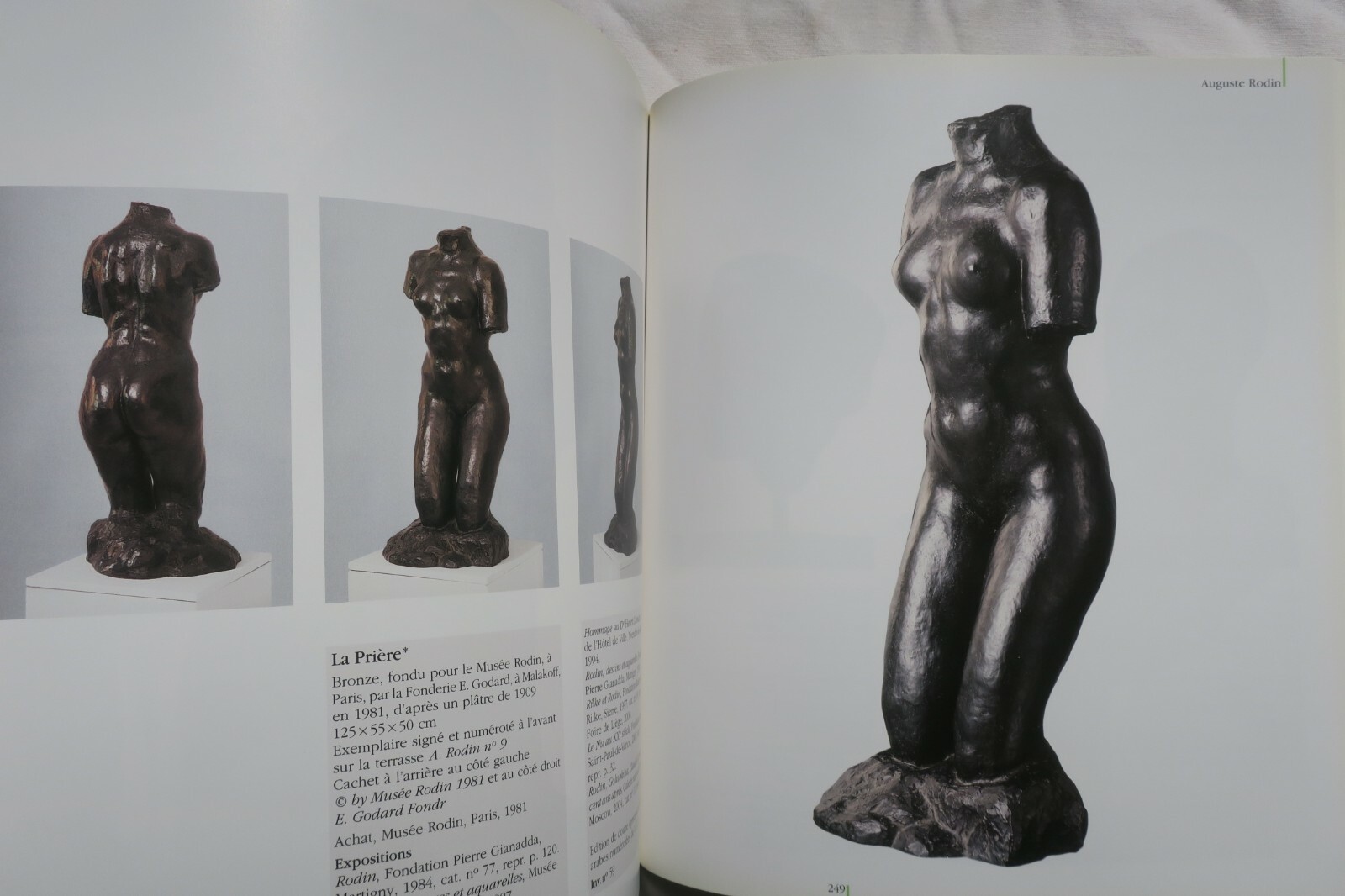 Gianadda la sculpture et la fondation – Image 6