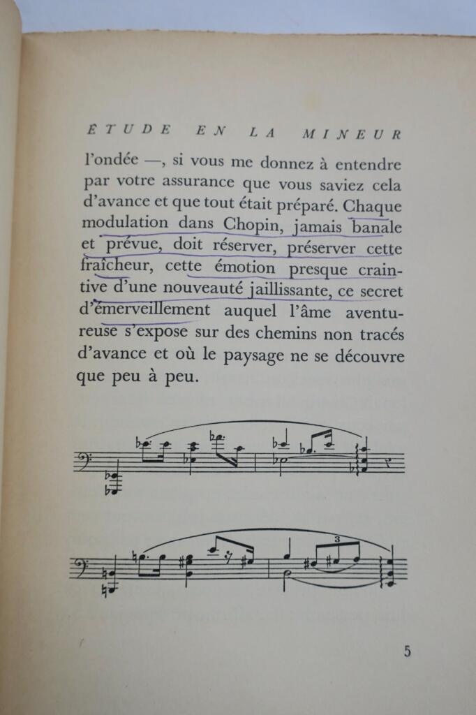 Reflections on Chopin