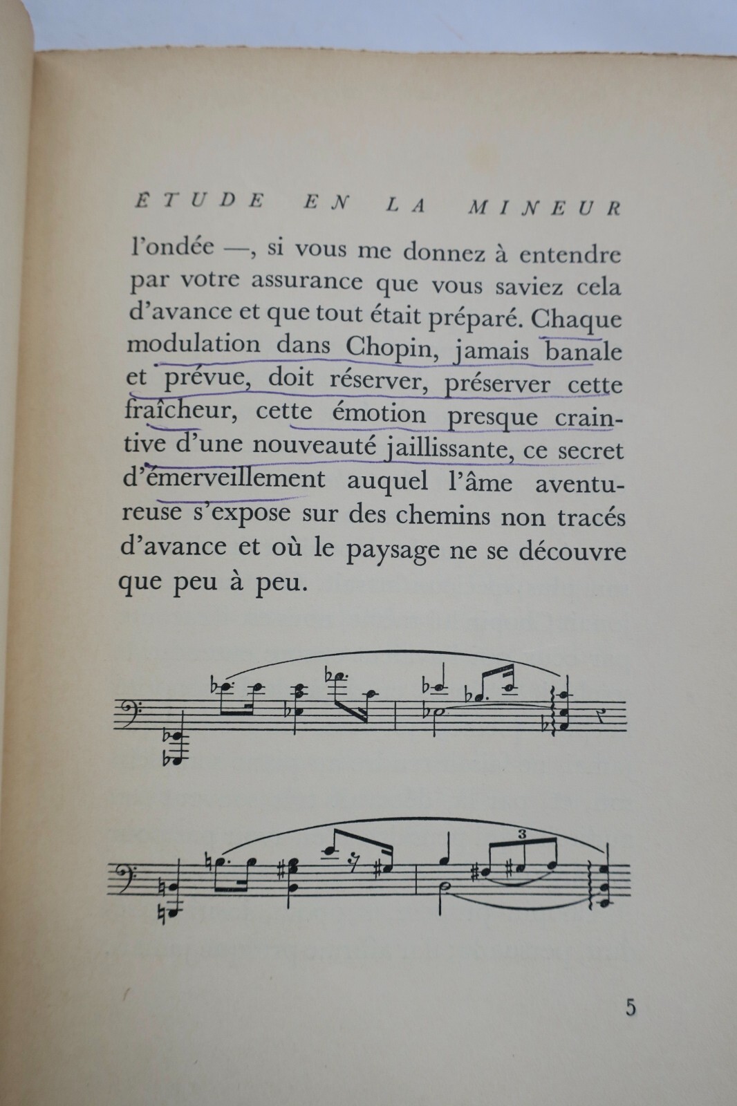 Reflections on Chopin - Image 7