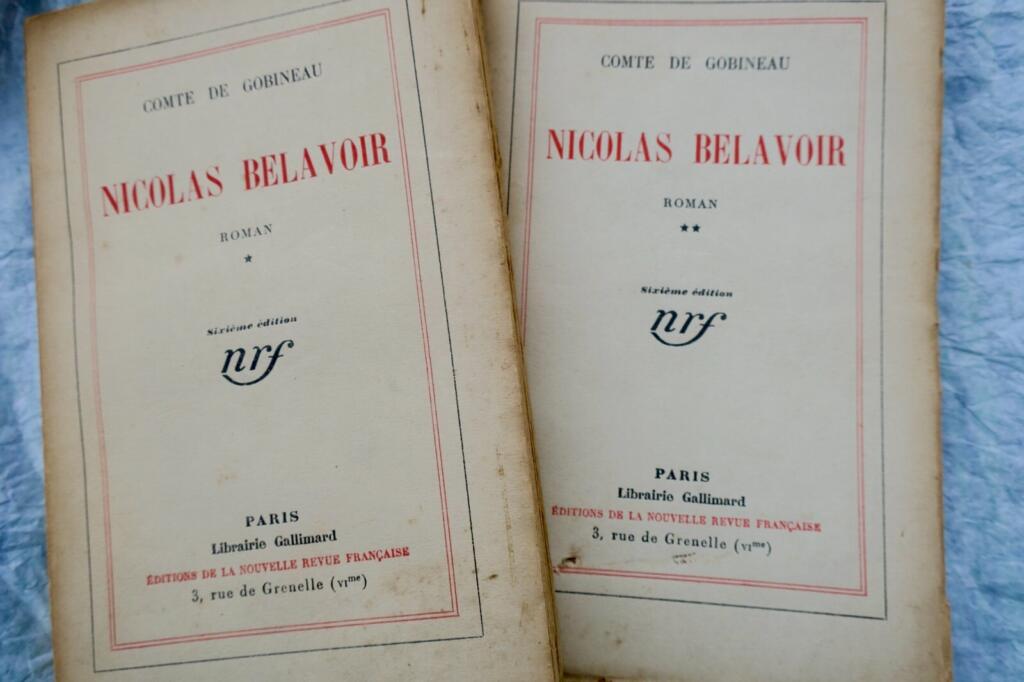 Nicolas Belavoir: Historischer Roman in zwei Bänden