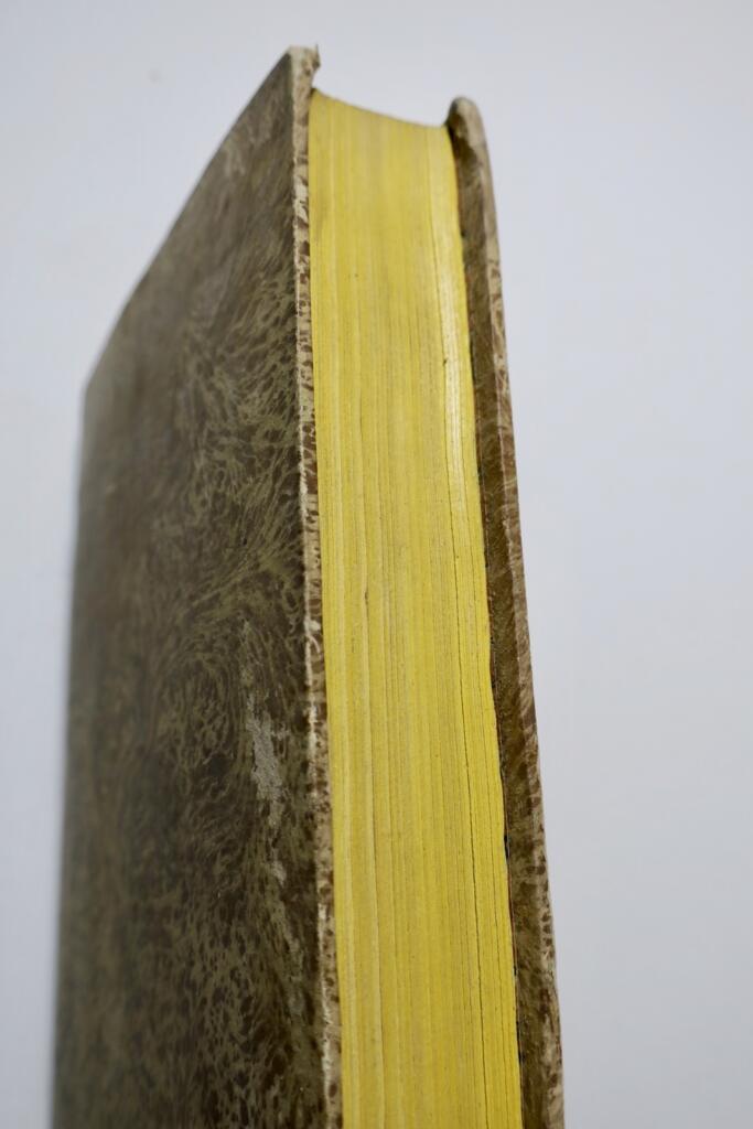 Erinnerungen an Goethe von Aubert