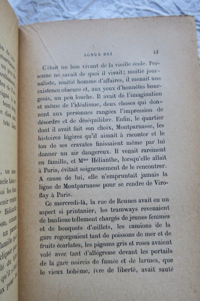 A unique novel with dedication