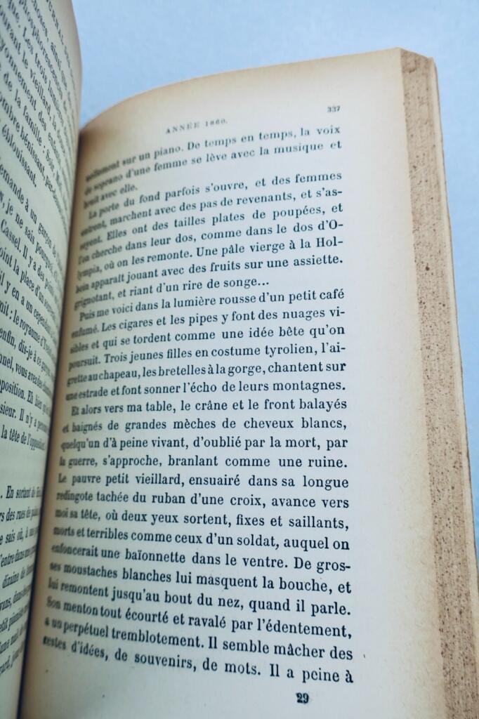 Literary memoirs and journal of 19th-century French life