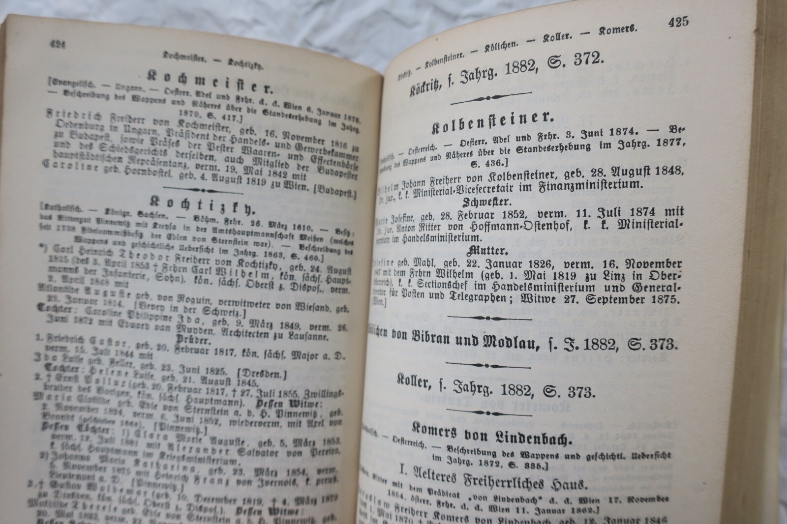 Genealogisches Handbuch von 1883 - Image 6