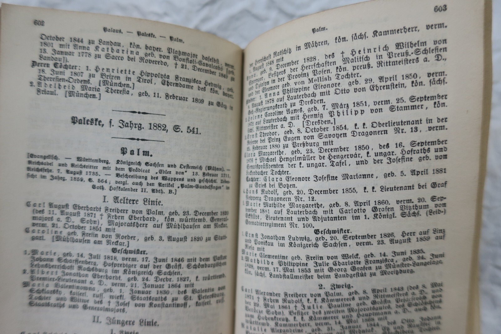 Genealogisches Handbuch von 1883 - Image 7