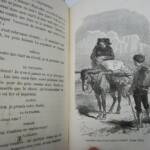 Gouraud Le petit colporteur – Mit 27 Vignetten von A. de Neuville 1867