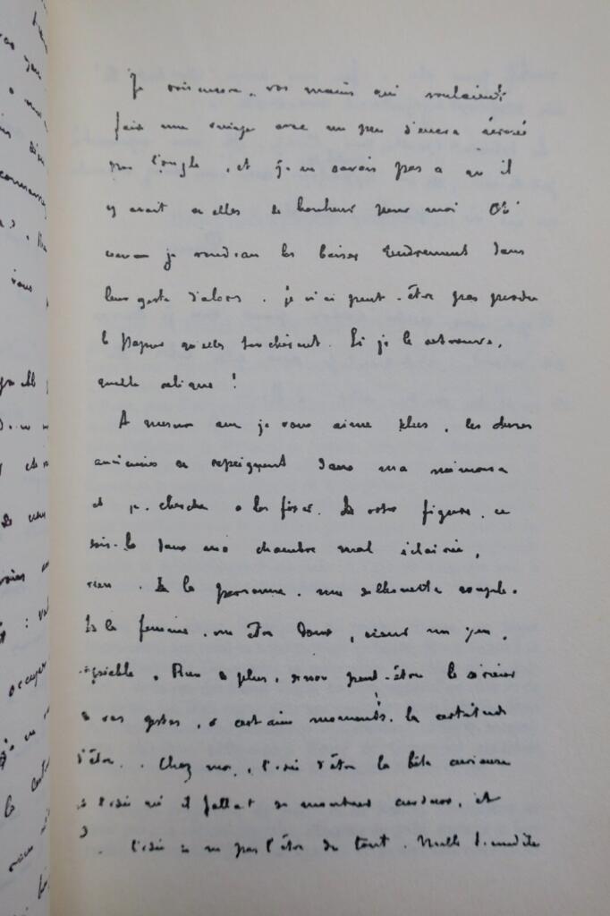 Letters to the Amazon