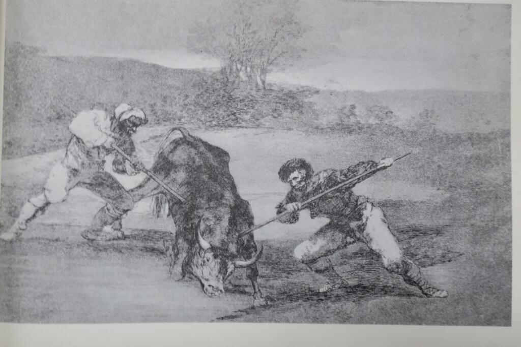 Kunst des Stierkampfs von Goya