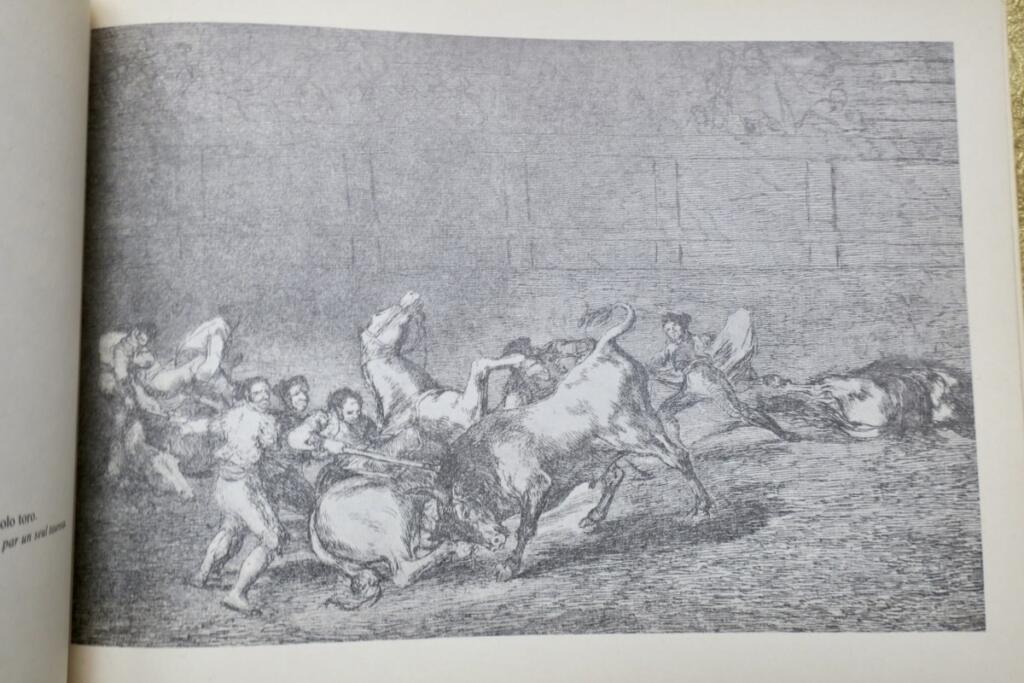 Kunst des Stierkampfs von Goya