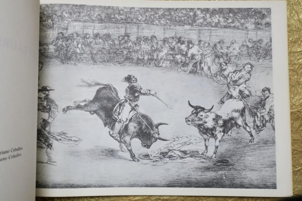 Kunst des Stierkampfs von Goya