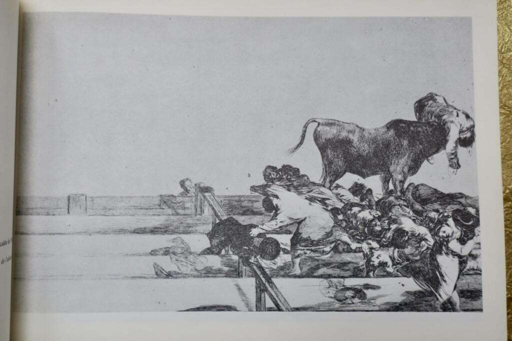 Kunst des Stierkampfs von Goya