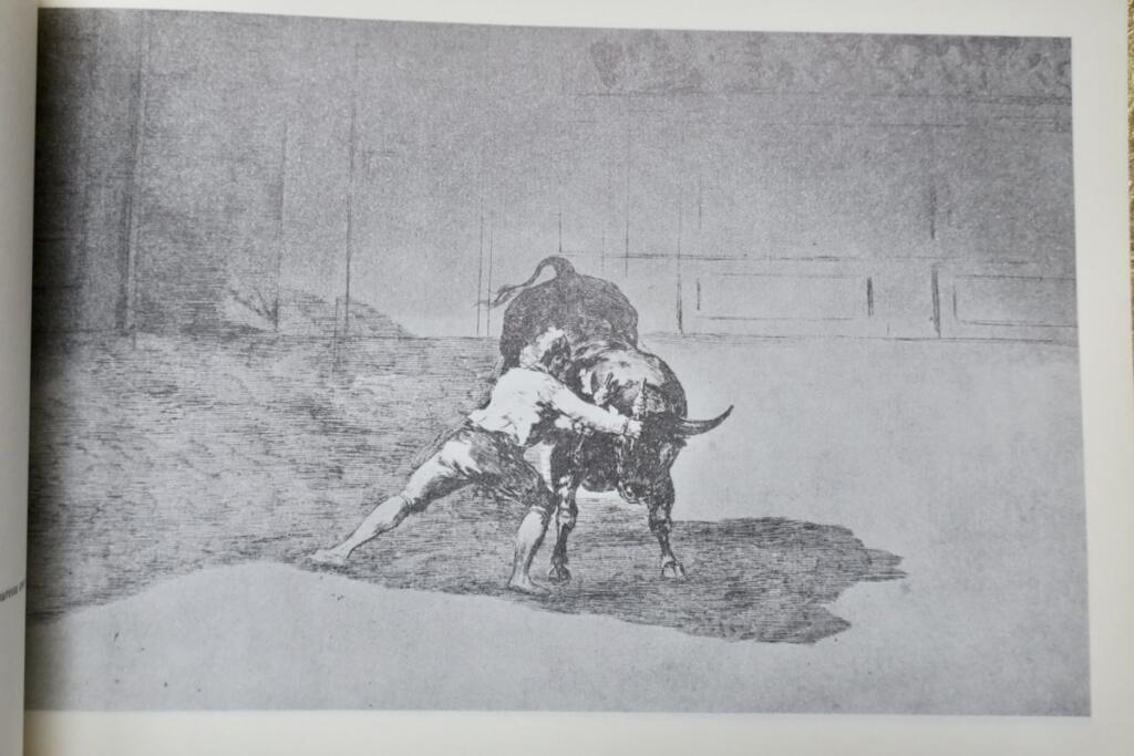 Kunst des Stierkampfs von Goya