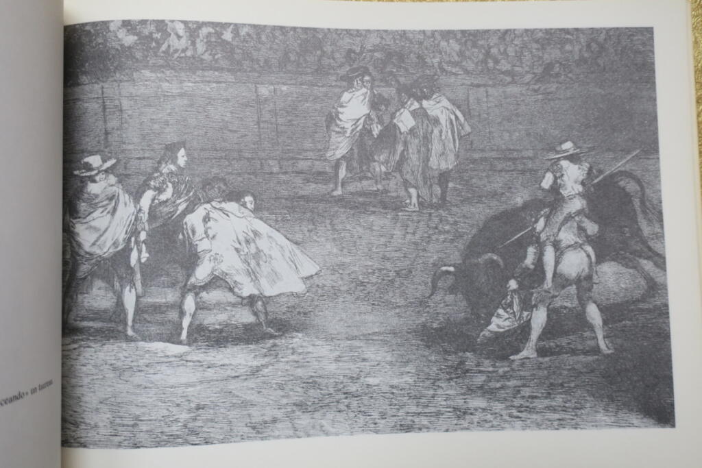 Kunst des Stierkampfs von Goya