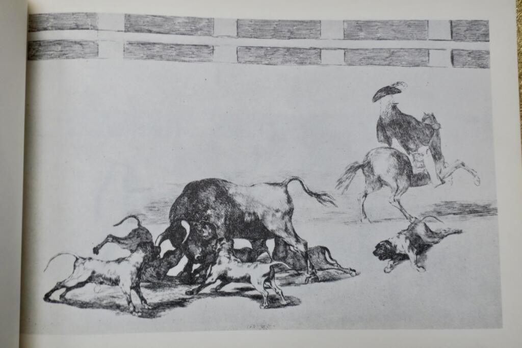 Kunst des Stierkampfs von Goya
