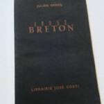 André Breton: Porträt und intellektueller Einfluss