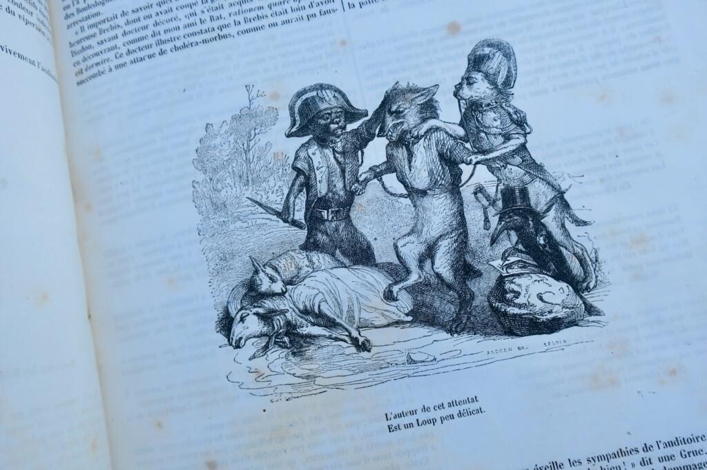 Animal Life: Public and Private Scenes