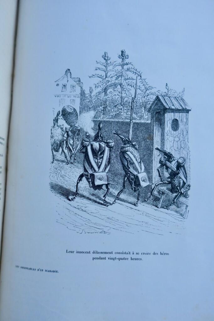 Animal Life: Public and Private Scenes