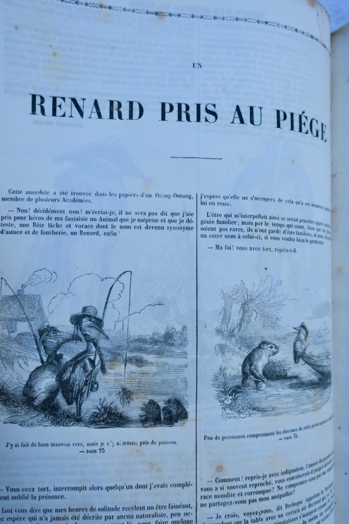 Scenes of public and private animal life