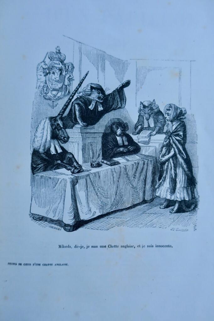 Scenes of public and private animal life