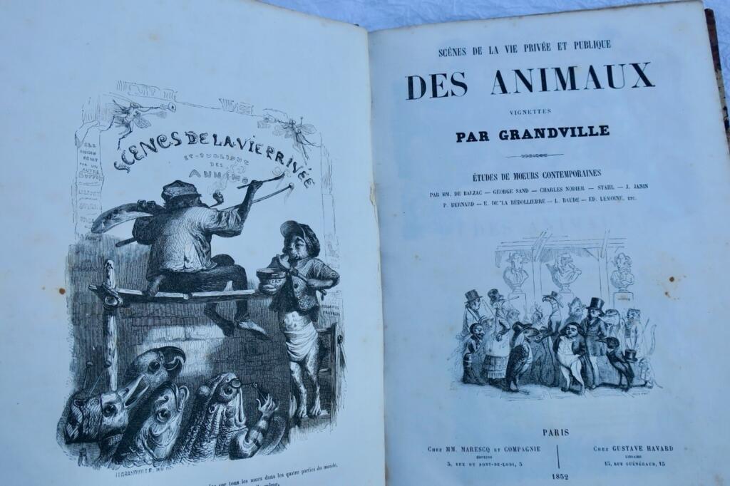 Scenes of public and private animal life