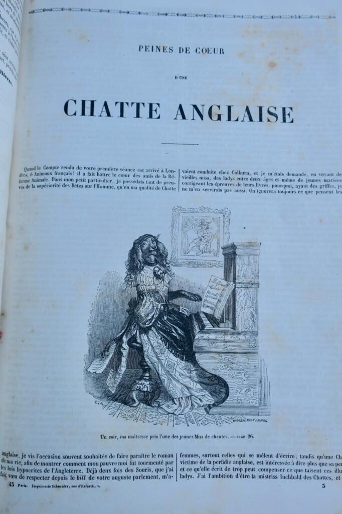 Scenes of public and private animal life