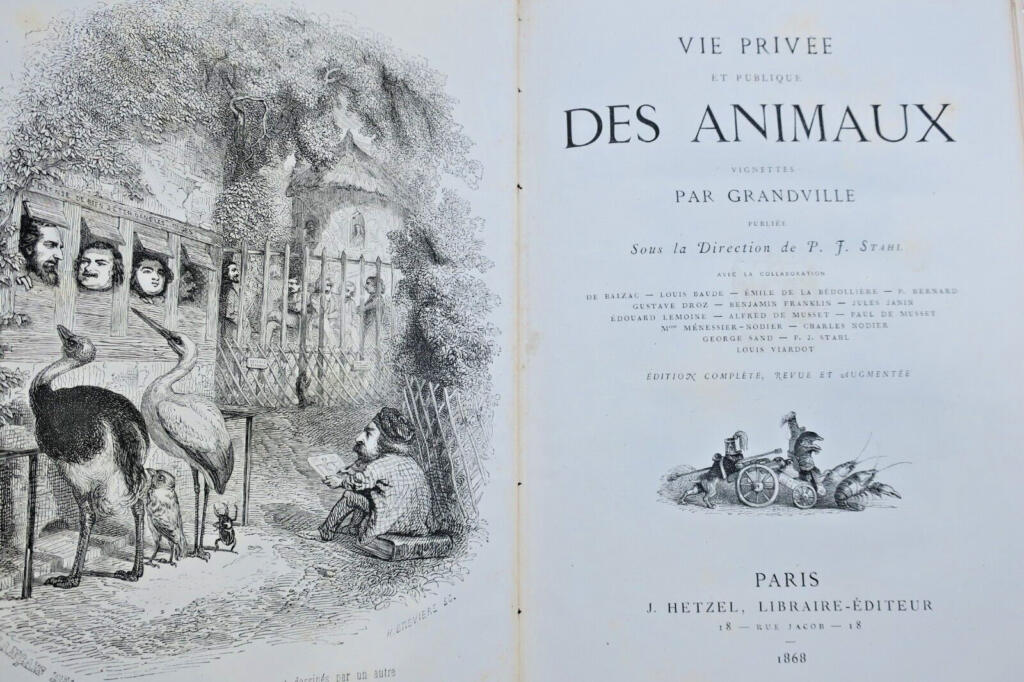 Exploration of Animal Lives