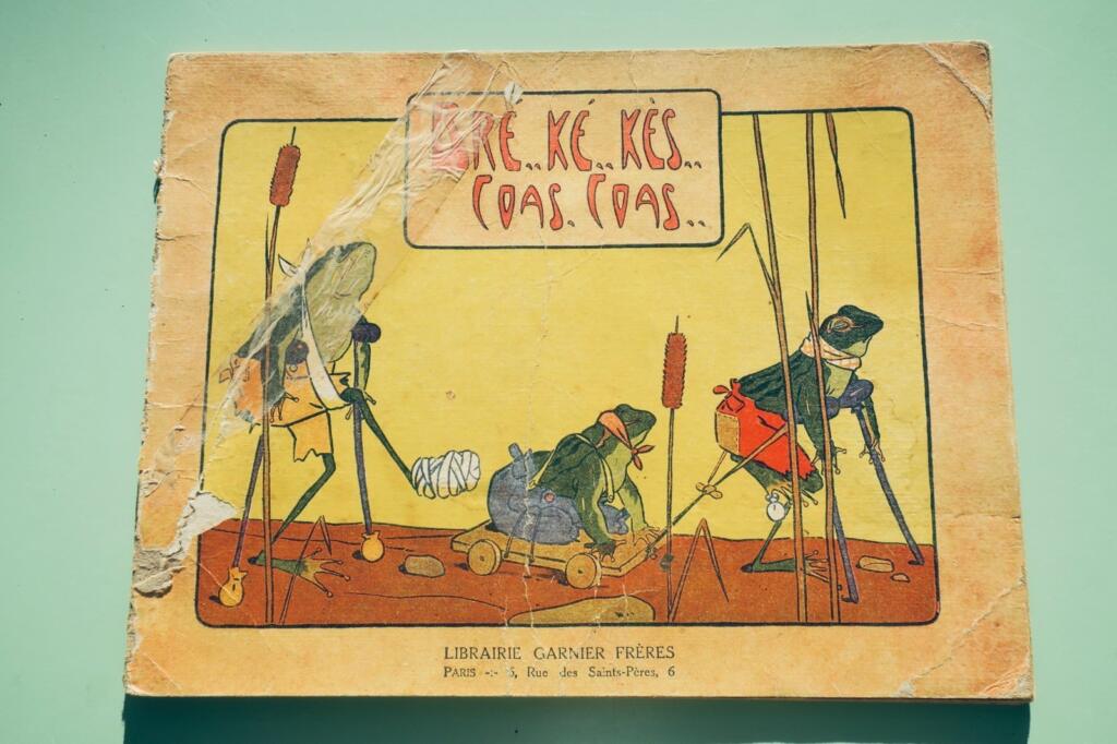 Froschquaken - Kinderbuch mit Illustrationen