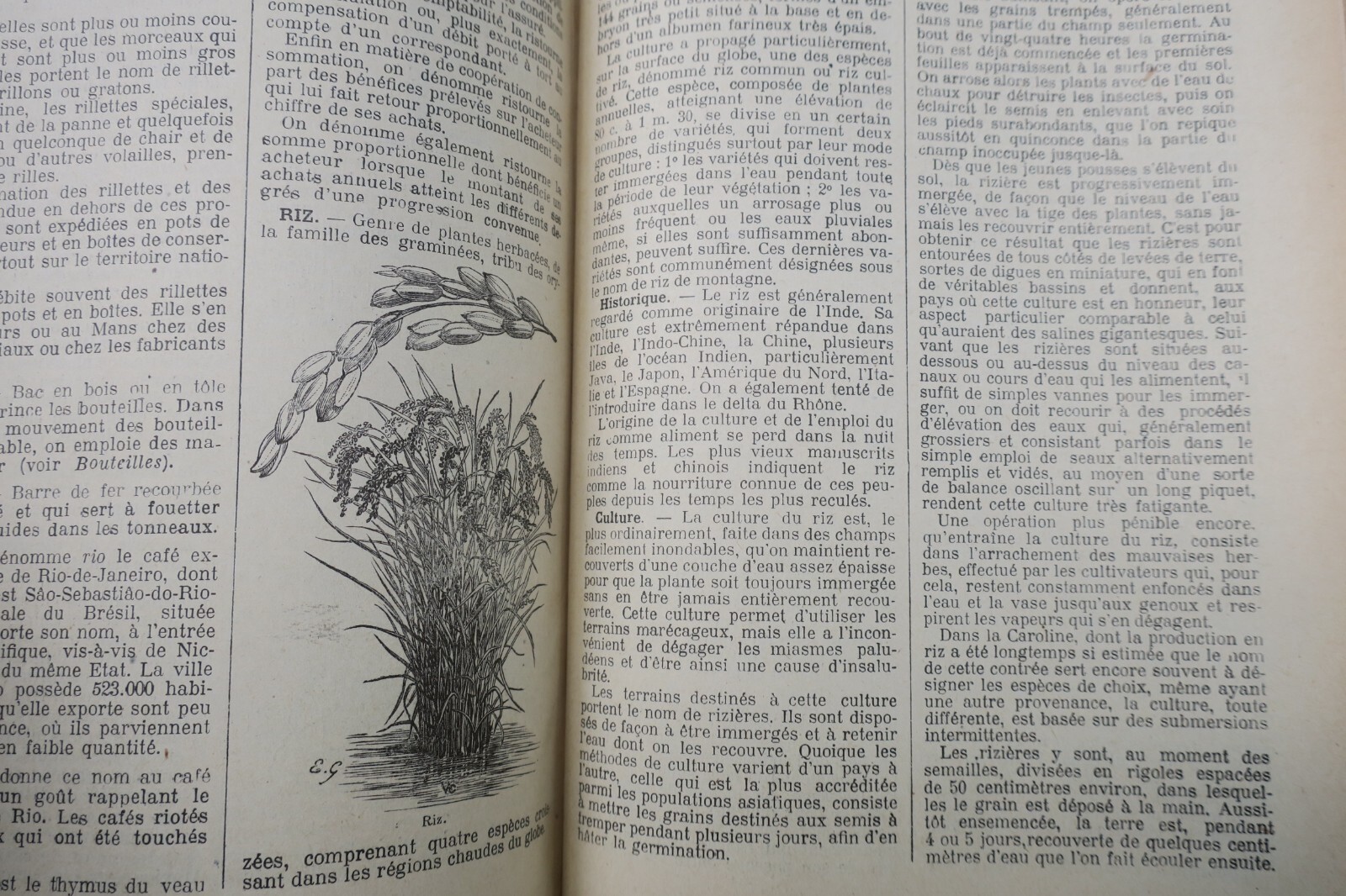 Grocery Encyclopedic Dictionary Of Grocery And Industries...1924 – Image 5
