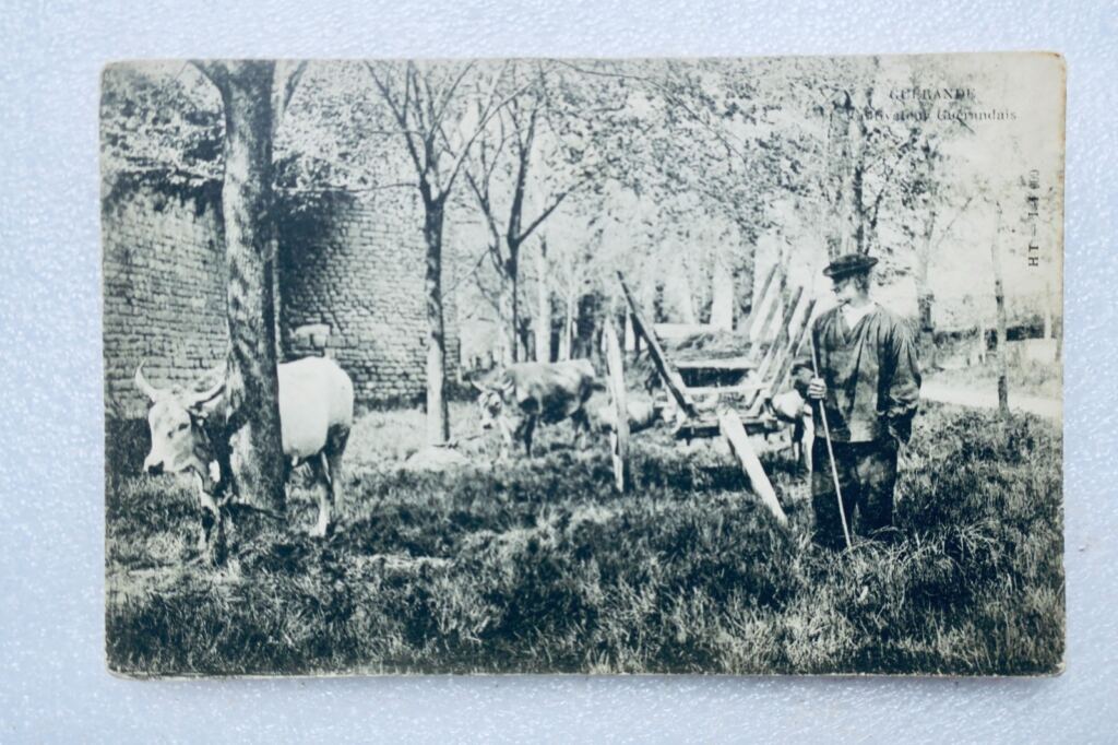Guérande 44 Cultivator
