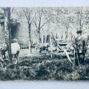 Guérande 44 CULTIVATEUR GUERANDAIS