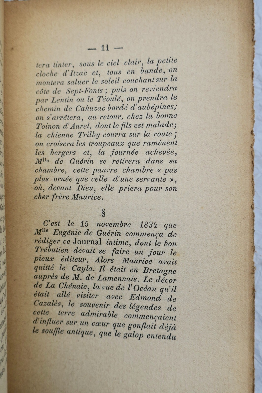 Centaurs and Bacchus insights - Image 4