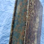 Portuguese Letters - Historical Correspondence 1829