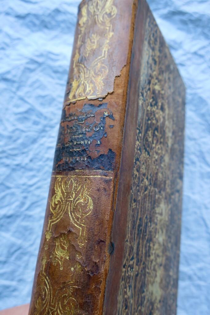 Portuguese Letters - Historical Correspondence 1829