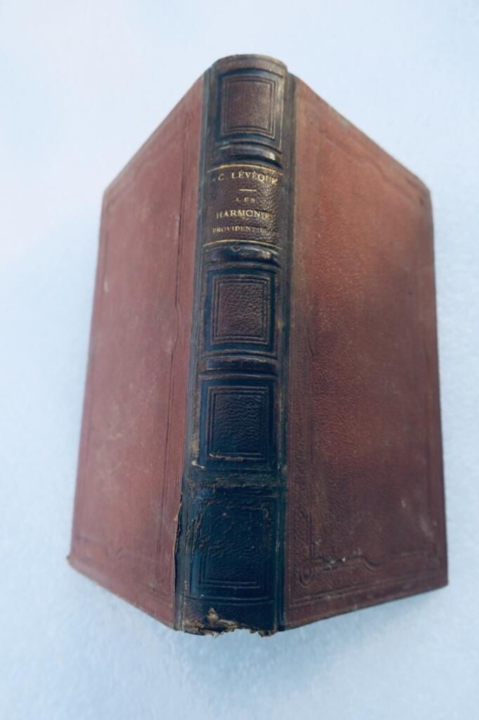 HARMONIES PROVIDENTIELLES 1873