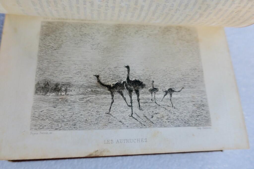HARMONIES PROVIDENTIELLES 1873