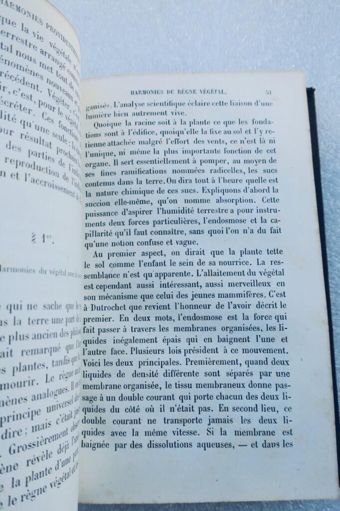 HARMONIES PROVIDENTIELLES 1873