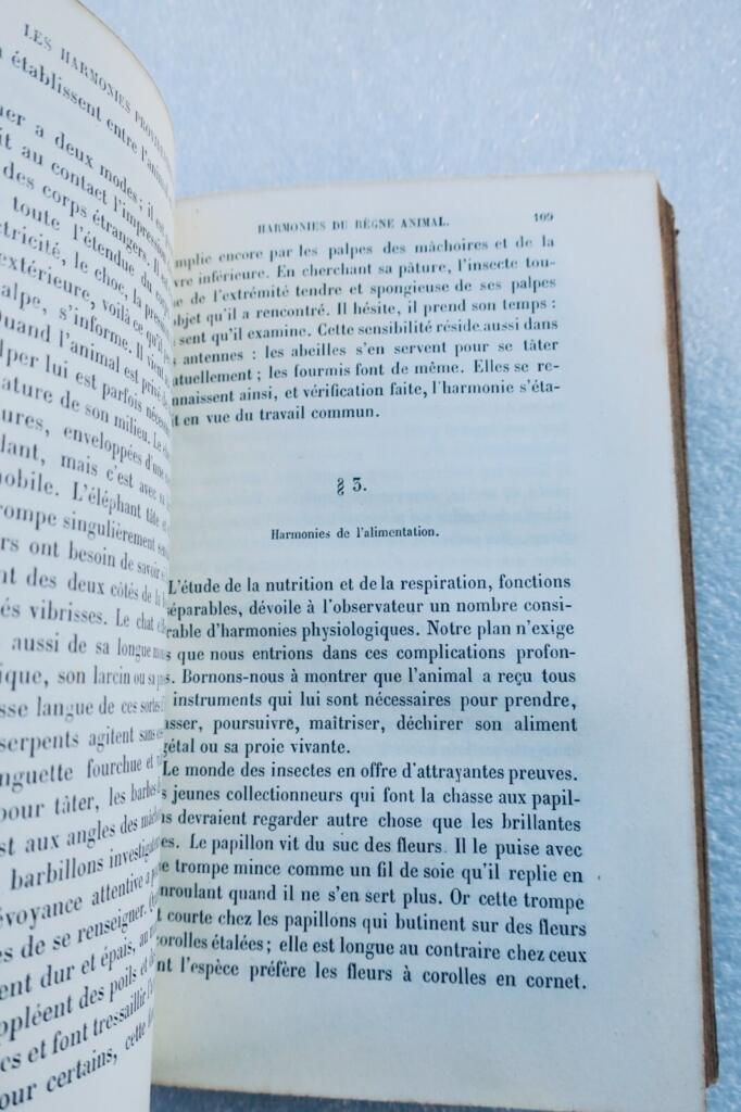 HARMONIES PROVIDENTIELLES 1873