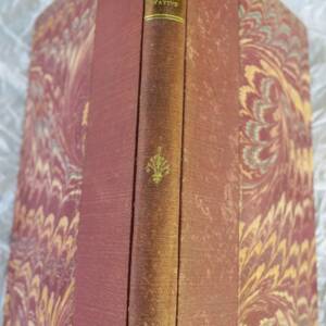 HAYEM A. La démocratie représentative 1870